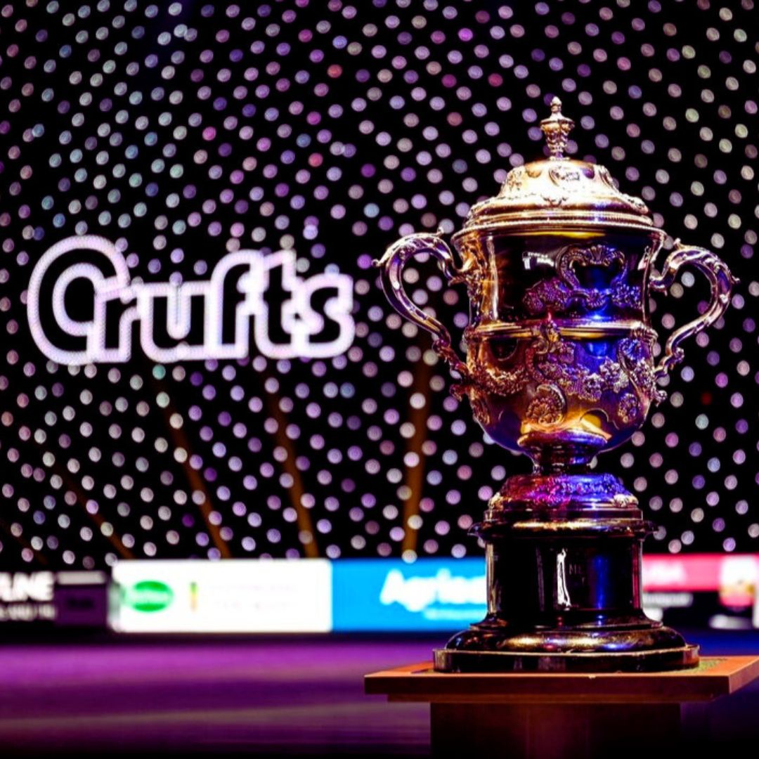 Crufts The World's Greatest Dog Show Event & Competitions